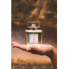 Stella |Eau de Parfum 100ml