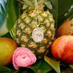 Flamingo mit Silberkette