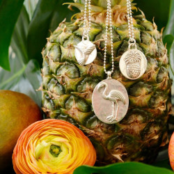 Ananas mit Silberkette