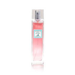 Raum-Deodorant Cala del Fico 100 ml